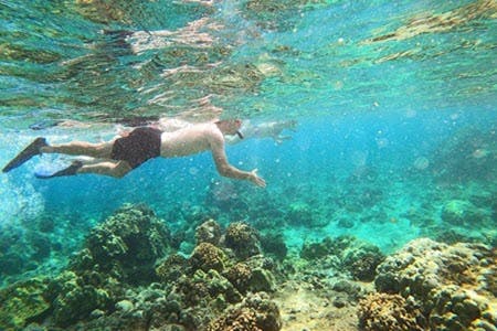 Guided Snorkeling Tour
