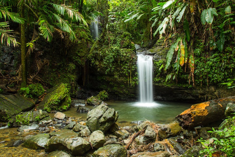 el yunque waterfall tour