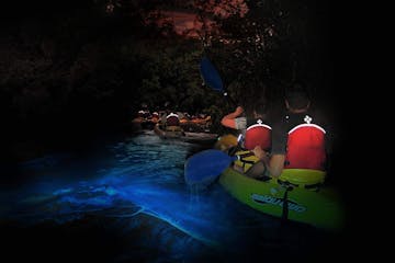 bioluminescent bay kayaking