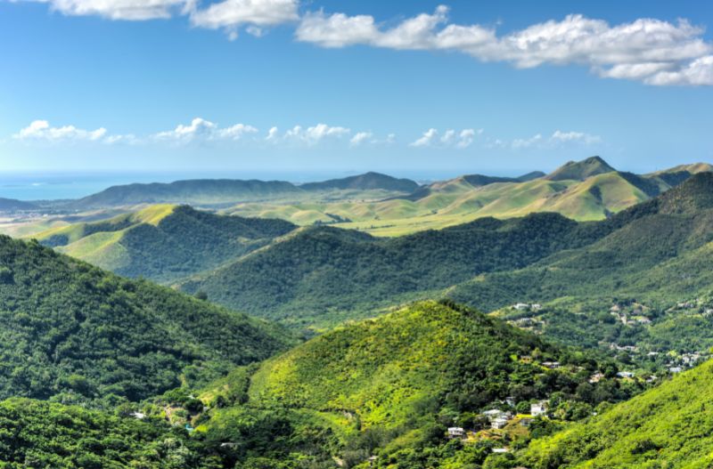 lush green hillside of Salinas Landscape Puerto Rico