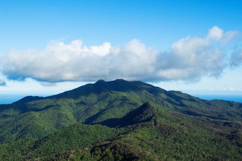 Overhead view of El Yunque National Forest