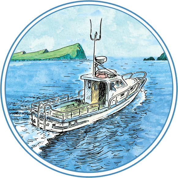 WestKerry Sea Angling & Eco-Tours