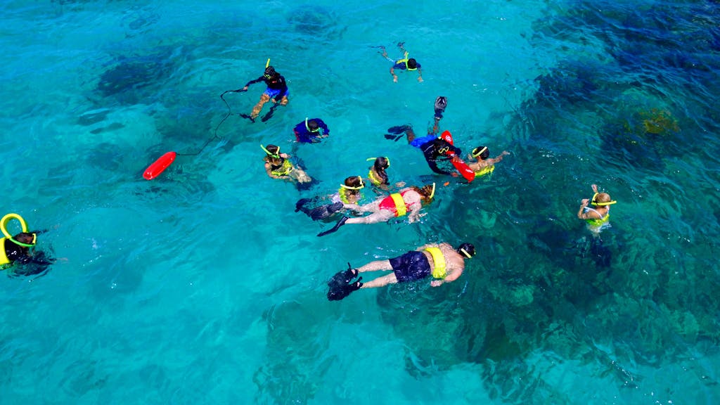 A group of people snorkeling on a turquoise water