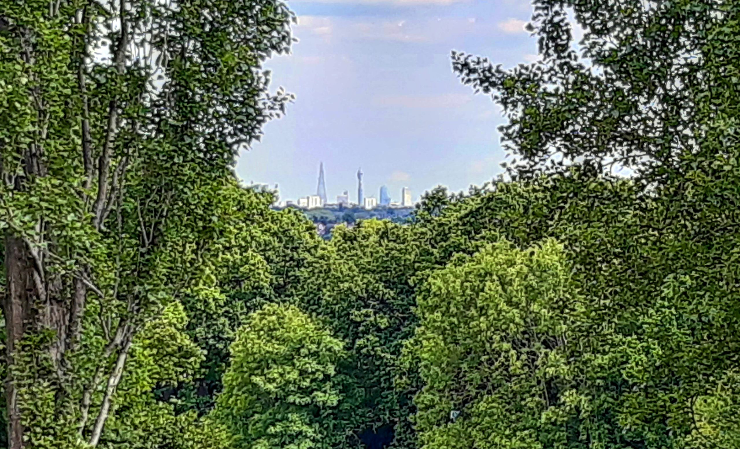 NW London vista: Through the trees and over the city and finding the Shard, BT Tower and Boomerang - London Cab Tours