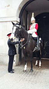 a person riding a horse in front of Horse Guards