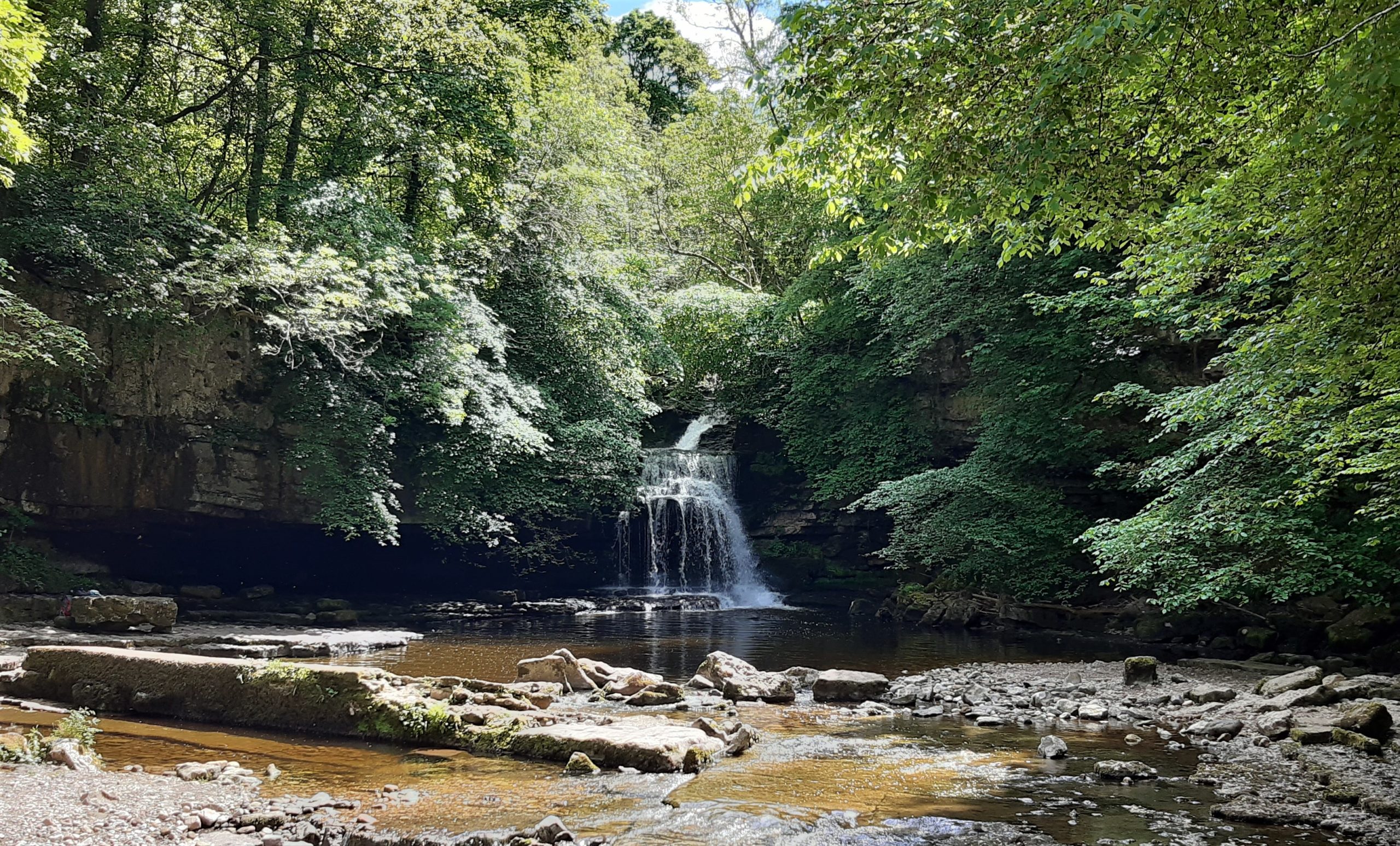 a large waterfall in a forest