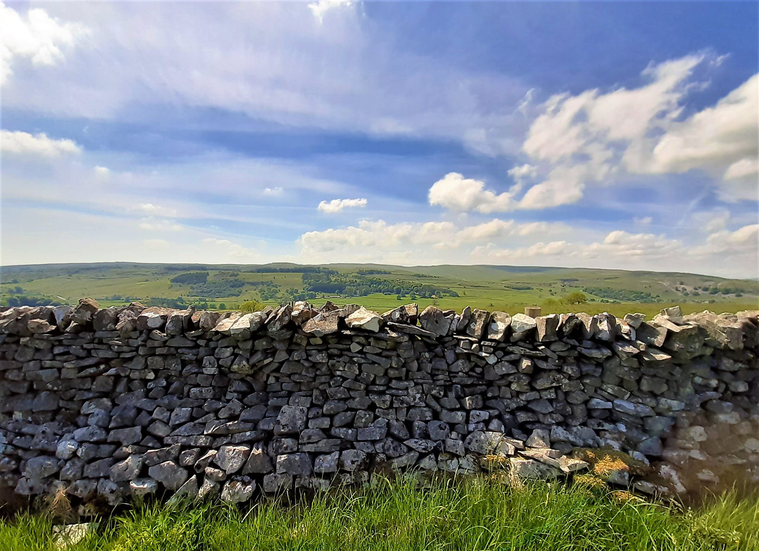 a herd of sheep standing on top of a rock wall