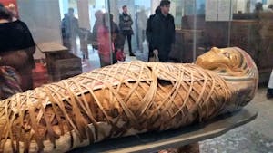 Egyptian Mummy, British Museum
