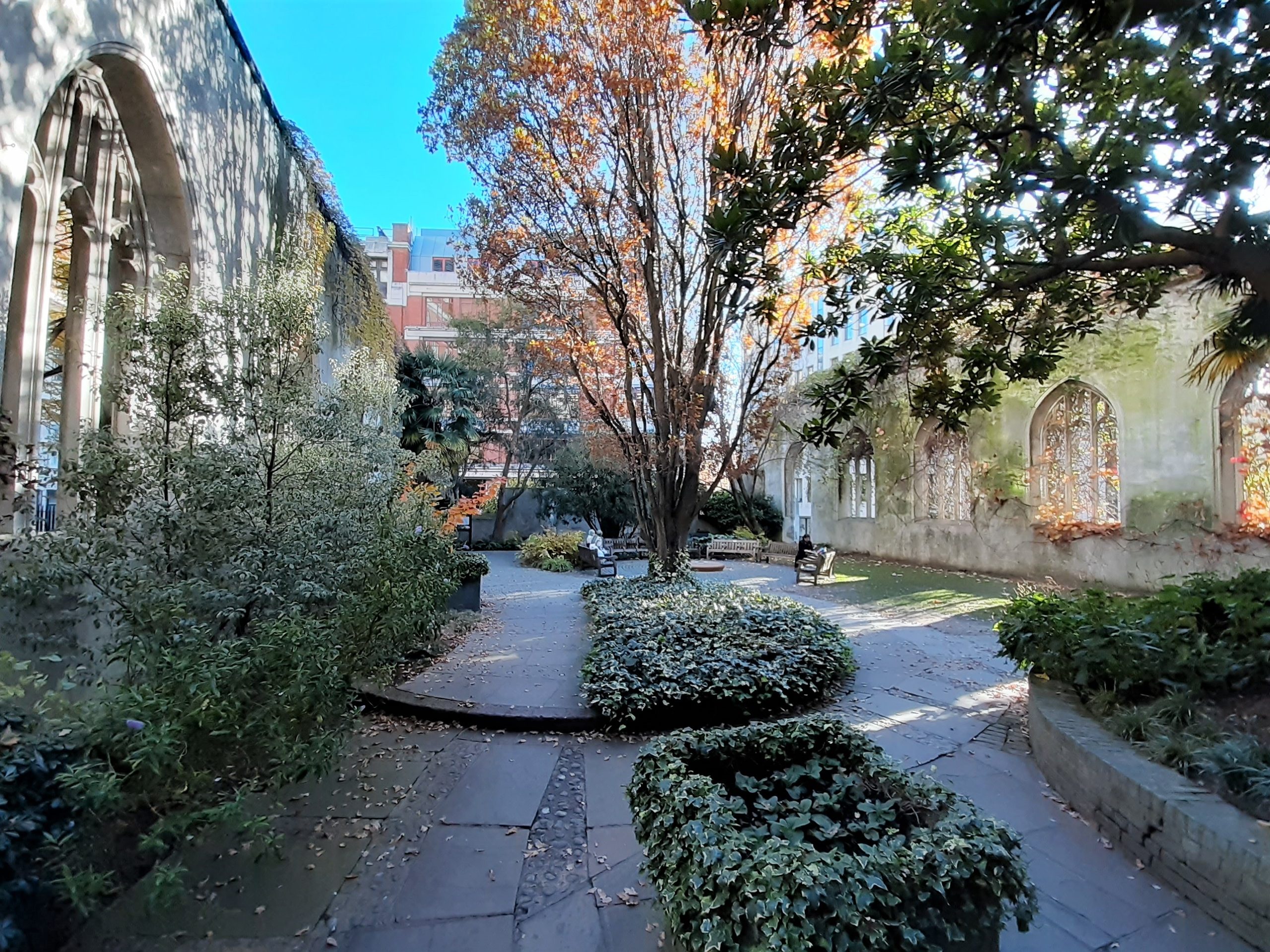 a path with trees on the side of a building