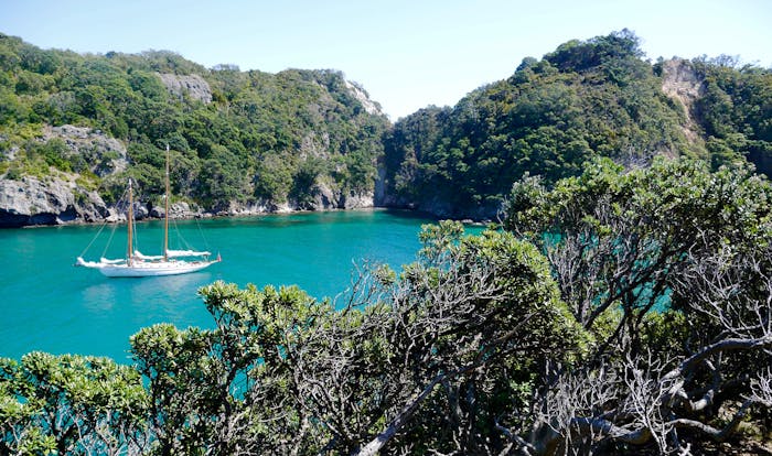 hauraki gulf yacht charter