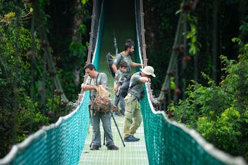 A group of tourists on the Monteverde Hanging Bridges at Sky Walk Monteverde