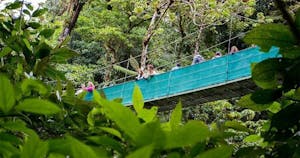 a close up of a hanging bridge at Sky Walk Monteverde