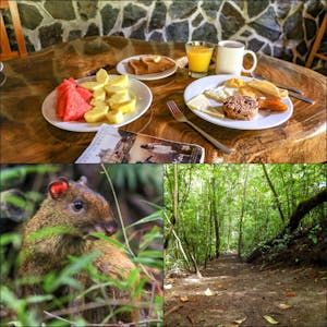 Restaurante con senderos para caminar en Monteverde