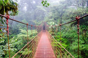 a picture of the Monteverde Cloud Forest Reserve in Costa Rica