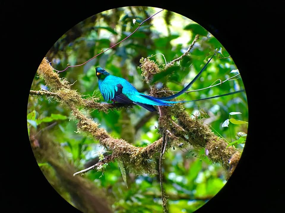Monteverde Cloud Forest Tour Photo