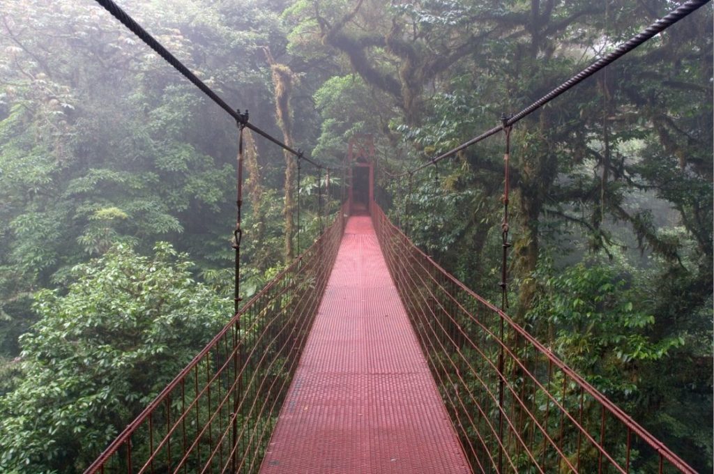 Why is the Monteverde Cloud Forest Reserve so Famous?