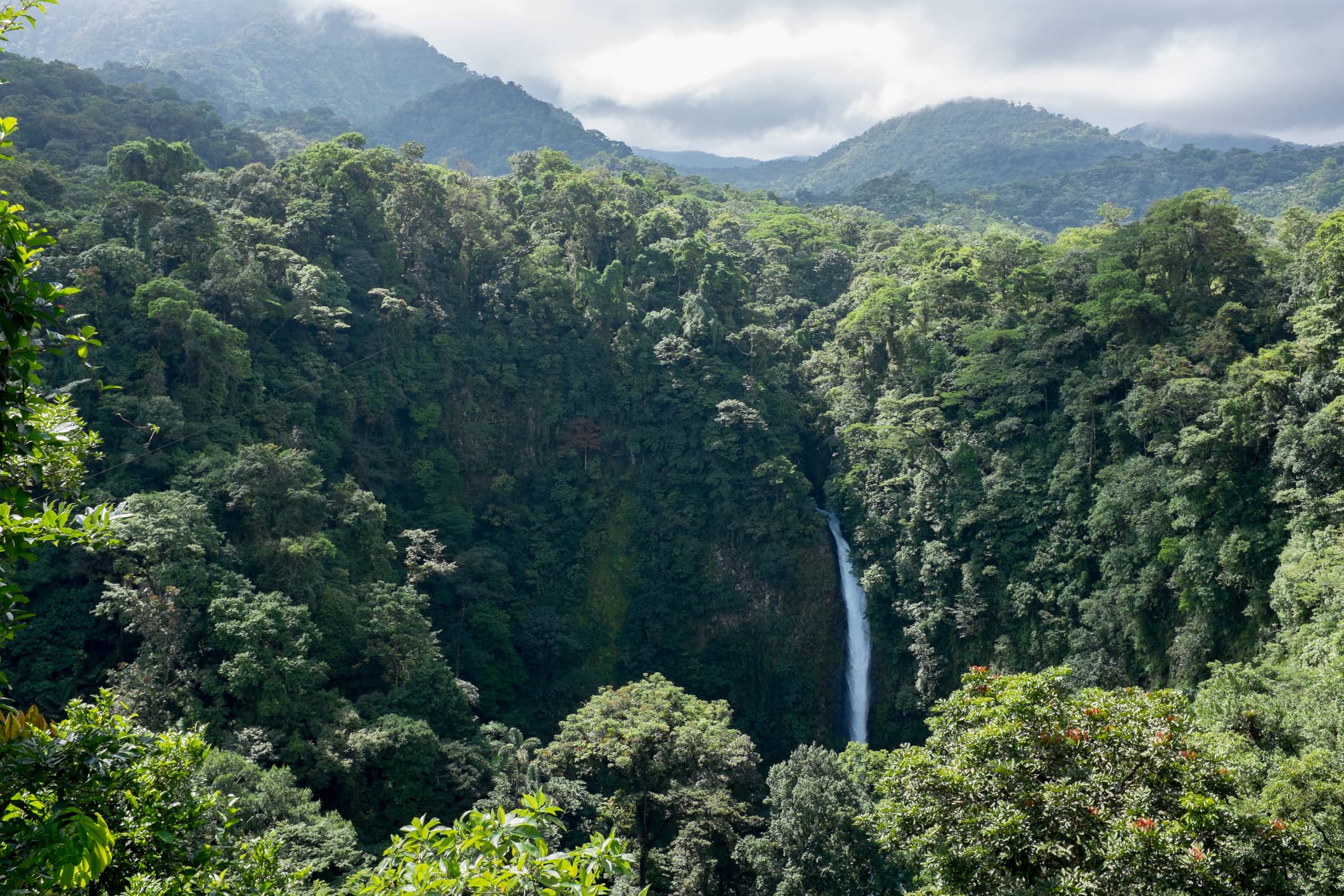 Top 7 Most Incredible Free Things to Do in Monteverde Costa Rica