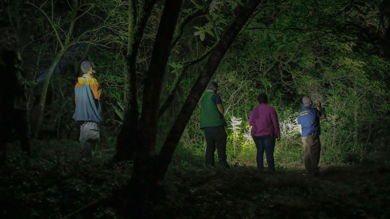 a group of people on a night tour in Monteverde, Costa Rica