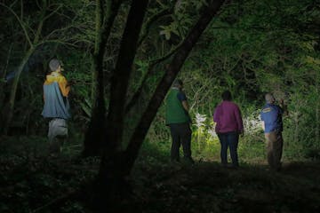a group of people on a night tour in Monteverde, Costa Rica