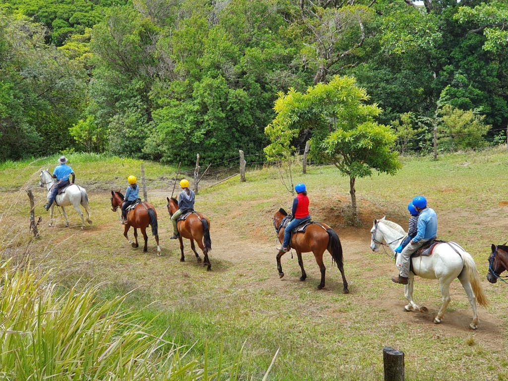 a group of people riding on the back of a horse at Martin Horse Tour Monteverde