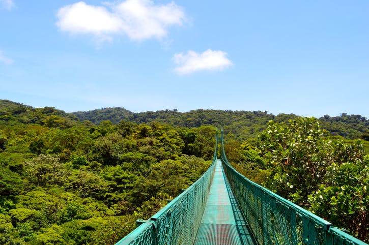 Hanging Bridge on a Clear Day in Monteverde