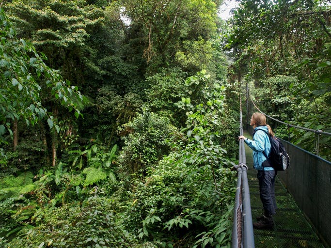 Monteverde Hanging Bridges: Skywalk Above The Cloud Forest
