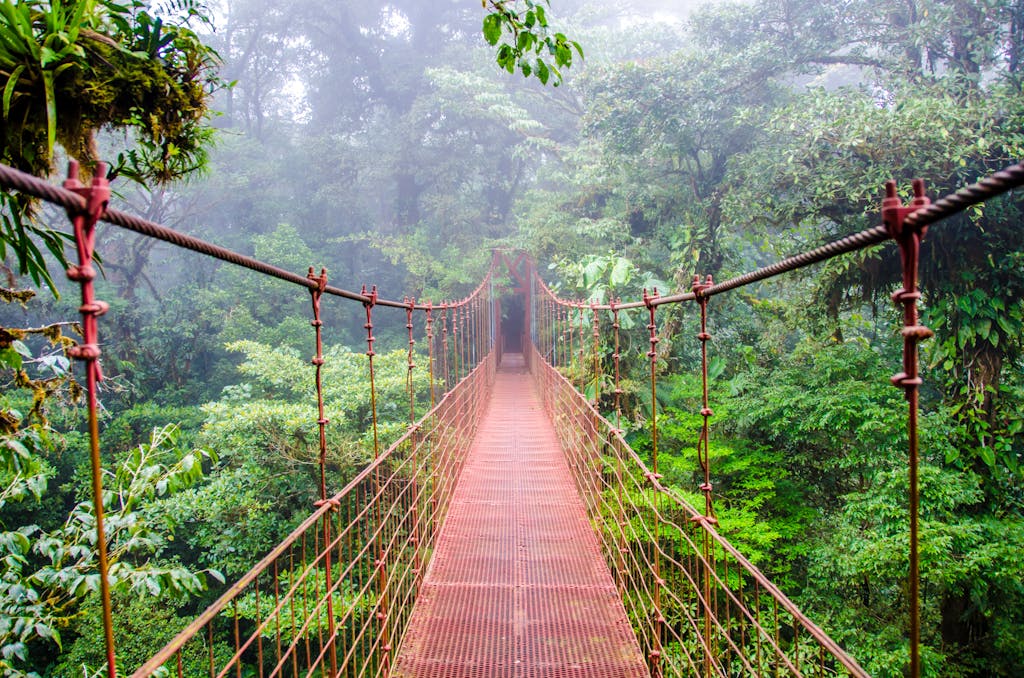 Monteverde Hanging Bridge at Monteverde Reserve