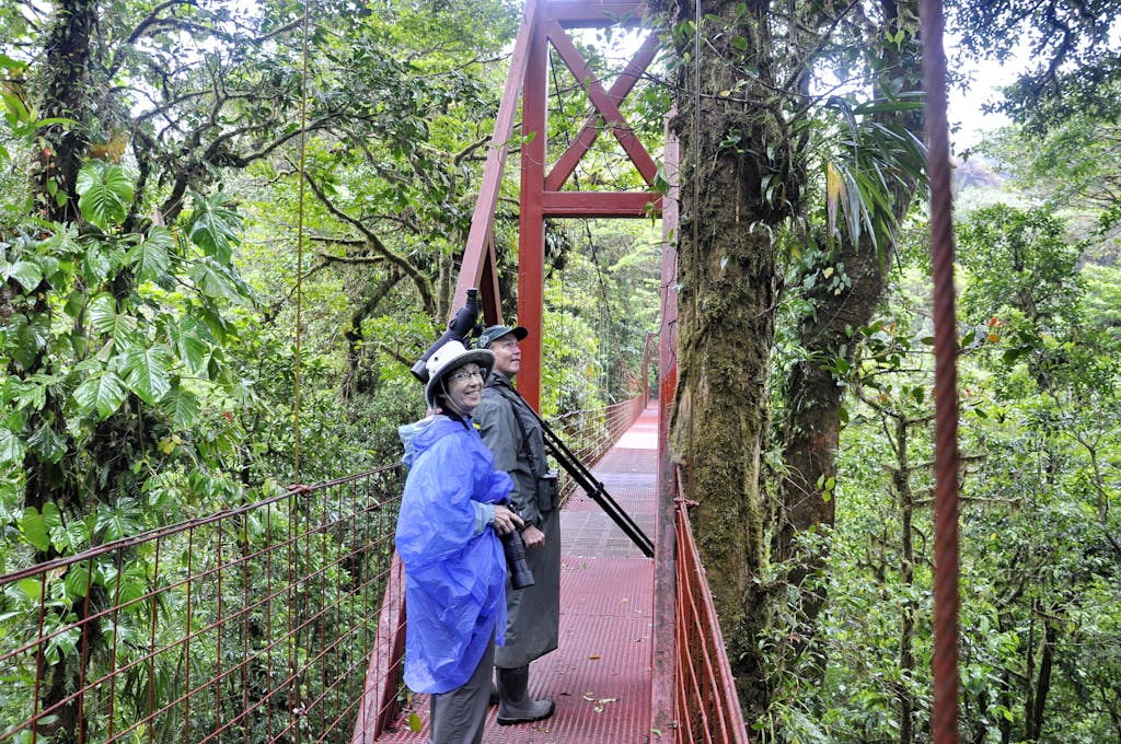 Monteverde Reserve Cloud Forest Tour