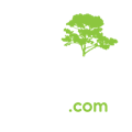 Monteverde Tours