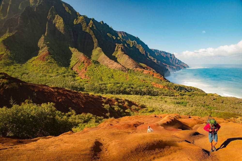 Which Hawaiian Island Has The Most Sea Turtles