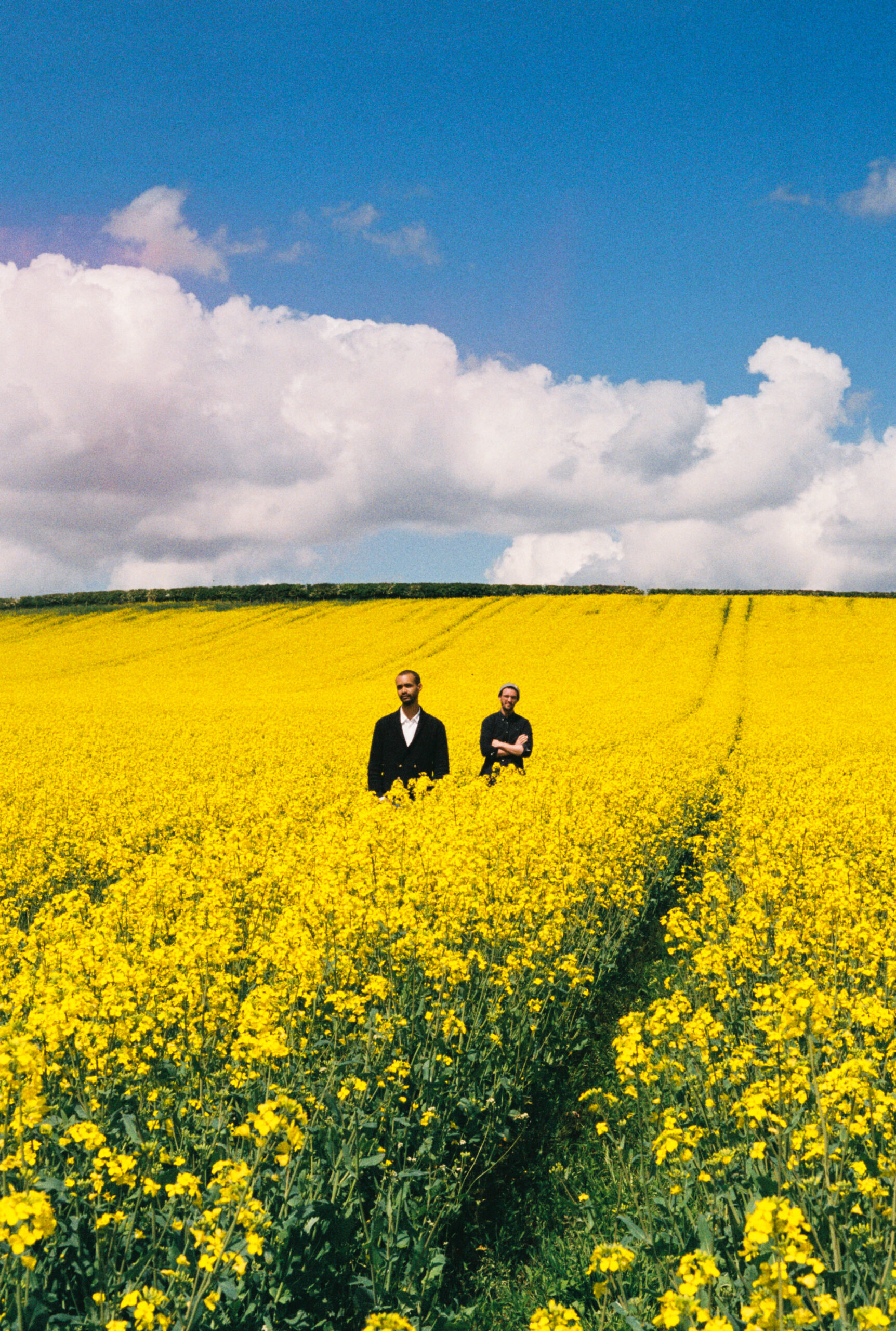 a flower in a field