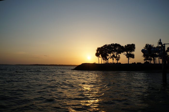 Sunset Dolphin Cruise in Hilton Head | Dolphin Seafari