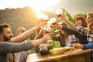A group toasting with wine glasses on a wine and weed tour of The Emerald Triangle