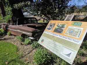 A tree growing through a car at The Solar Living Center in The Emerald Triangle