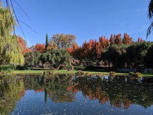 The pond and a sculpture at The Solar Living Center in The Emerald Triangle