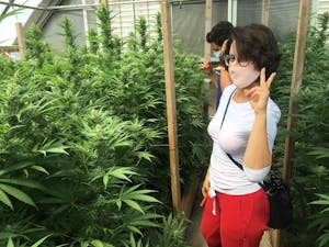 woman throws up peace sign in a cannabis greenhouse as a man takes pics of the plants behind her