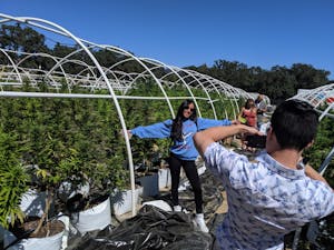 Girl posing for pics on one of the Pot farms in California's Emerald Triangle
