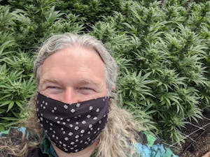 A guy in a mask in front of marijuana plants on a weed tour of pot farms in California's Emerald Triangle