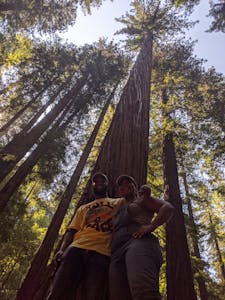 A couple in the giant redwood forests of The Emerald Triangle