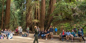 The tours SF pic of Muir Woods with a park ranger and tourists