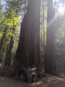 2 cannasseurs in front of a giant redwood tree in The Emerald Triangle