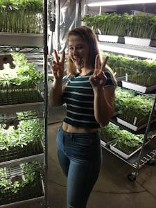 a young woman on a 420 tour with racks of cannabis clones
