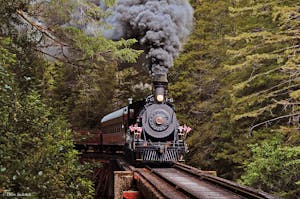 The Skunk Train in Mendocino County steaming through the woods
