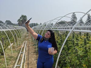 Woman taking selfie in front of rows of cannabis plants