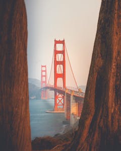 Golden Gate Bridge through the redwoods