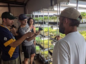 Guests on a weed tour in a clone room