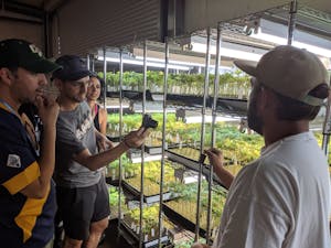 One of the cannasseur weed farmers of The Emerald Triangle showing clones to tourists