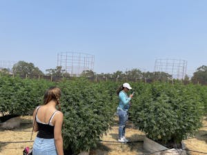 Cannasseur Equity Program participants explore one of the pot farms in California's Emerald Triangle