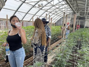 Cannasseur California Equity Grant Participants walking through a greenhouse full of cannabis