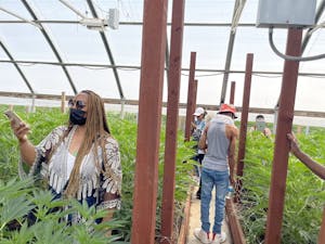 California Equity Grant participants gathering data in a greenhouse on one of the pot farms in California's Emerald Triangle